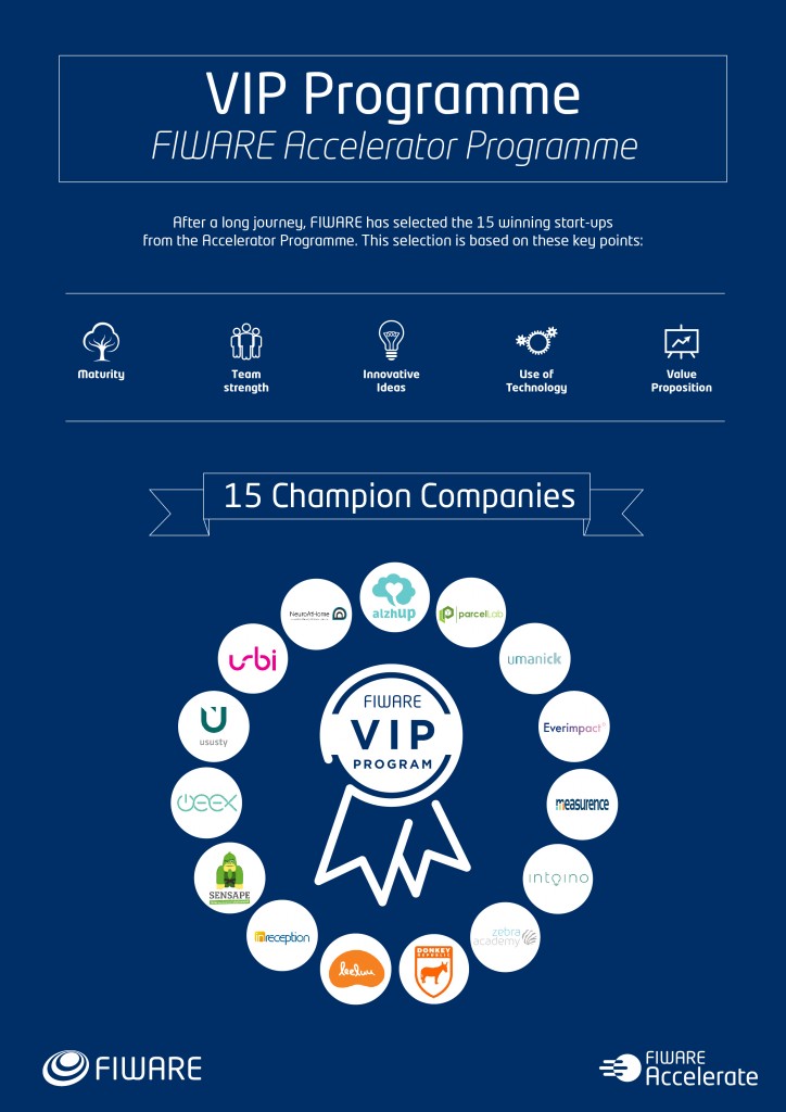 infografía vip programme-02