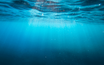 FIWARE4WATER – Follower Cities Meeting