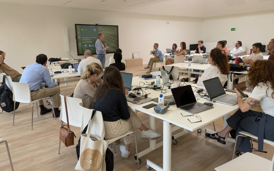 Enhancing Local Innovation with Global Ambition: Developing Digital Talent within the FIWARE Ecosystem
