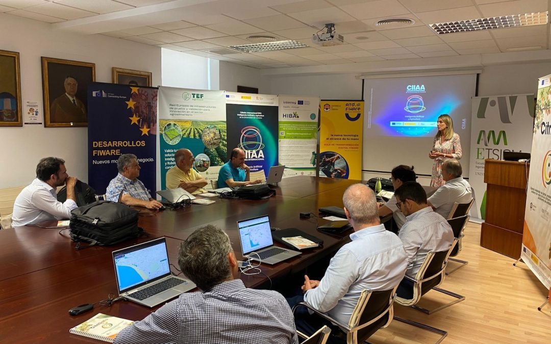 A Milestone in Digital Innovation: Córdoba FIWARE Digital Transformation Lab