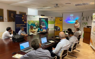 A Milestone in Digital Innovation: Córdoba FIWARE Digital Transformation Lab